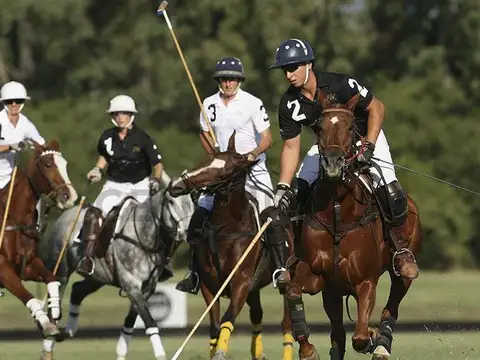 Terreno en Venta de 1284,0 m2