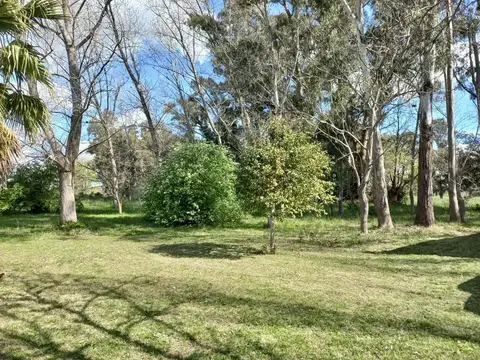 Excelente chacra a mts de la Ruta 210 con estupenda forestación   galpón   vivienda 