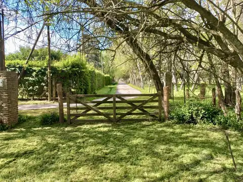 Excelente chacra a mts de la Ruta 210 con estupenda forestación   galpón   vivienda!!
