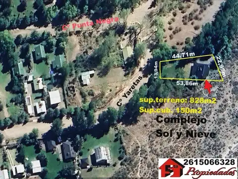 Yaretas (manzano Historico R.89 Valle Sol Y Nieve) 100