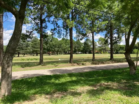 Club de Campo El Paso 300