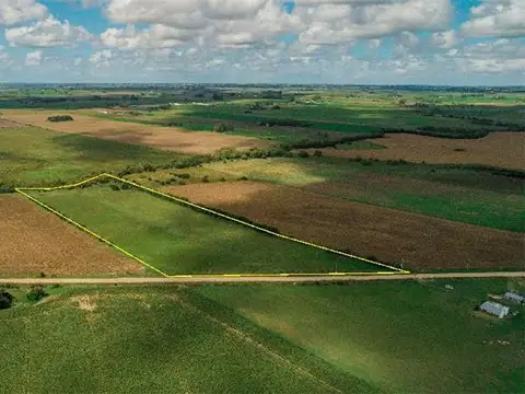 Campo en Venta de 4  ha