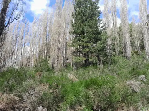 Villa Lago Lolog -  San Martin de los Andes - 14 Hectáreas