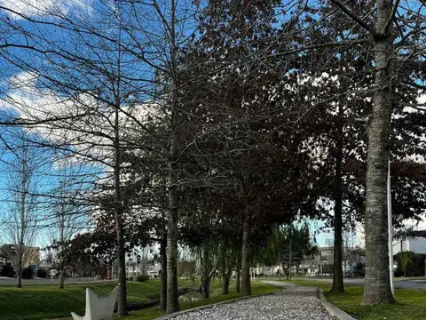 Lote en venta - CALLE 133 Y 476