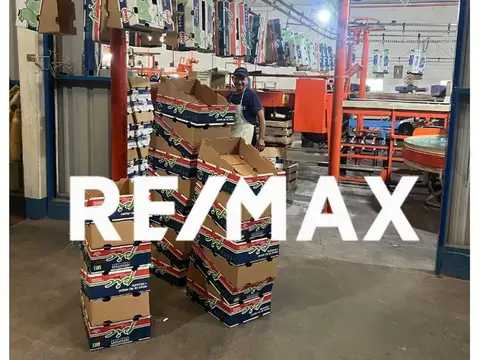 VENTA - GALPÓN DE EMPAQUE Y FRIGORÍFICO - G. ROCA