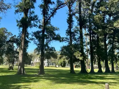 LOTE VENTA Bº CERRADO TRES PINOS GRAL.RODRIGUEZ