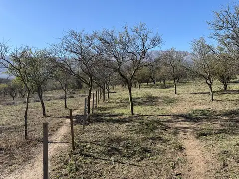 Terreno en Venta en Las Chacras, USD 40.000