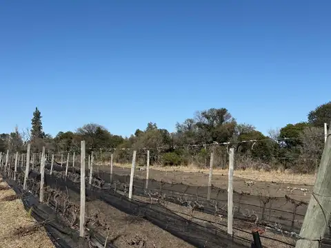 Terreno en Venta de 2500,0 m2