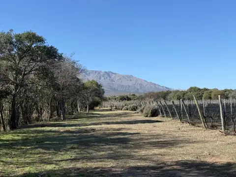 Terreno en Venta en Las Chacras, USD 40.000