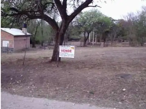 Los Jazmines Y Rosas 30