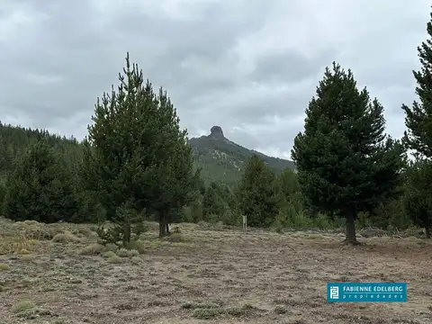 Terreno en Venta 40  mts Fondo