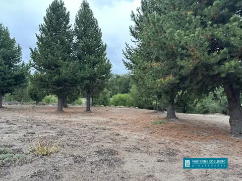 Terreno en Venta de 2000,0 m2