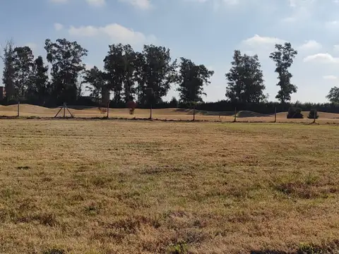PILAR GOLF