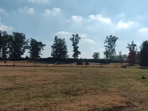 Terreno en Venta 20  mts Fondo