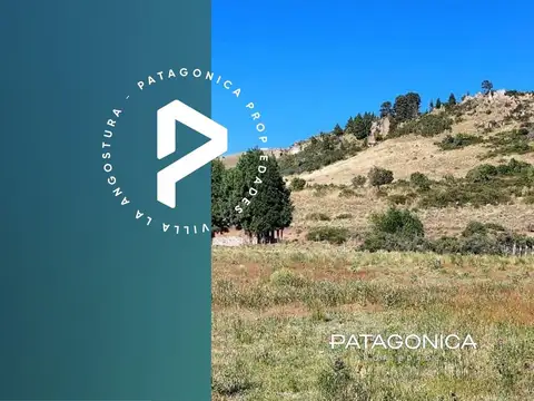  VENTA LOTE 6.672m2 s/ Ruta Prov.61, Huechulafquen, Junín de los Andes