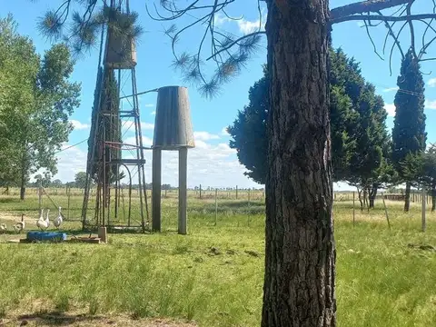 CAMPO EN VENTA SOBRE RUTA 6 KM 35.5