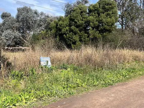 Terreno en Venta 2938m2  FINANCIACIÓN EN PESOS - El Remanso, Exaltación de la Cruz, Zona Norte