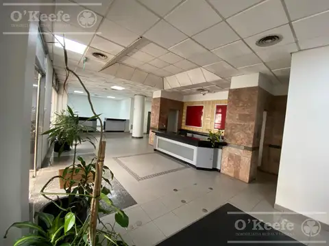 Oficina en Alquiler con 10 cocheras