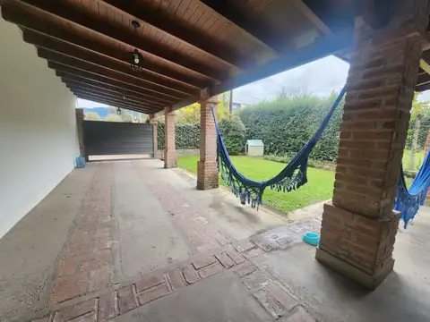Jacaranda 100