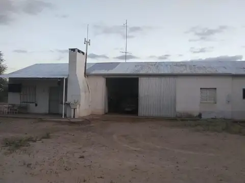 Campo en Venta Ganadero