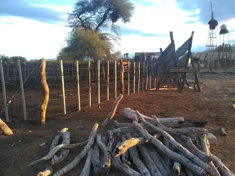 Campo en Venta Ganadero