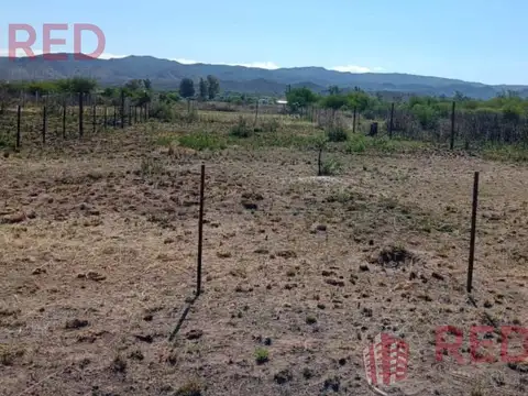 Nuñez (entre calden y olivos)