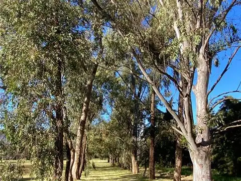 Muy lindo lote de 15.346m2 en Venta en barrio La Oración de Lujan. 100, Piso P.B.