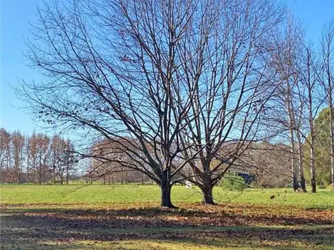 Terreno en Venta de 15346,0 m2