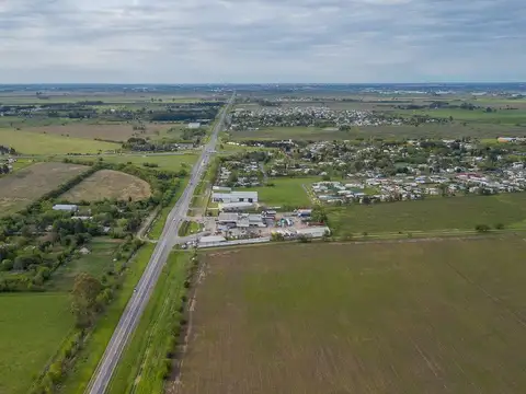 CAMPO 32 HECTAREAS EN VENTA - ALVEAR