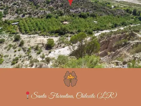 Quinta en Venta en Santa Florentina, USD 170.000
