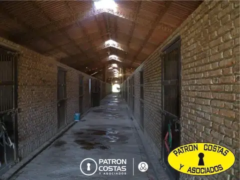 Haras Argentino Farm Club