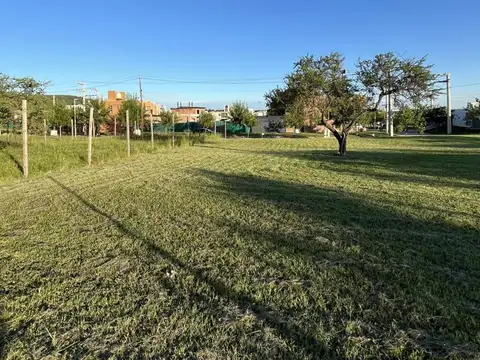 malagueño, tejas cuatro