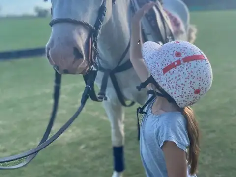 Vendo..Excelente ubicacion Ruta 205 Km 53, 100 y camino del 80. Chacas de la Trinidad Cañuela Bs. As