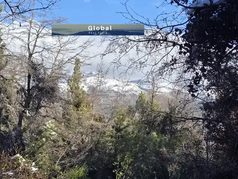 FRACCIÓN DE 7 Has SAN MARTÍN DE LOS ANDES, PATAGONIA ARGENTINA 2000