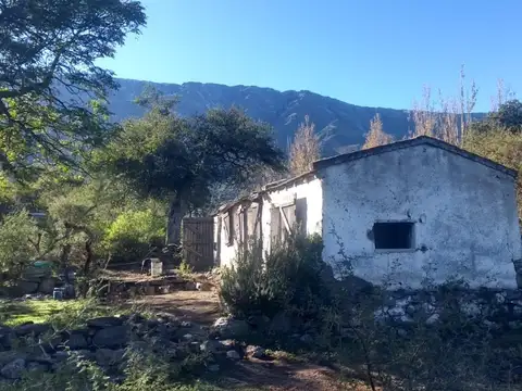 Ruta 14
