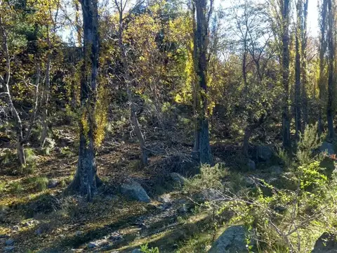 Terreno en Venta de 17640,0 m2