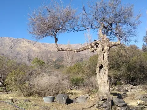 Ruta 14