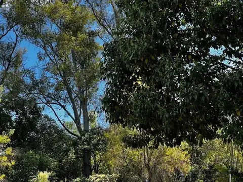 Quinta en Venta en Centro Agricola El Pato, USD 195.000