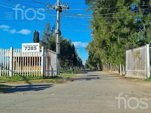 VENTA TERRENO EN POLÍGONO INDUSTRIAL LAGOS ROSARIO