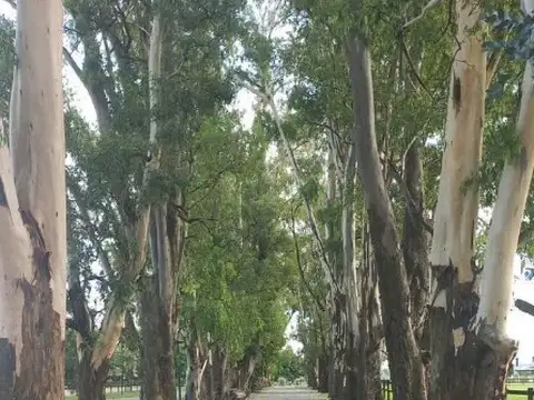 Terreno Lote  en Venta en El Campo - Fincas Exclusivas Cardales, Campana, G.B.A. Zona Norte