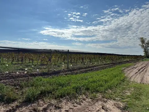 VENTA FINCA EN SANTA ROSA CON POZO