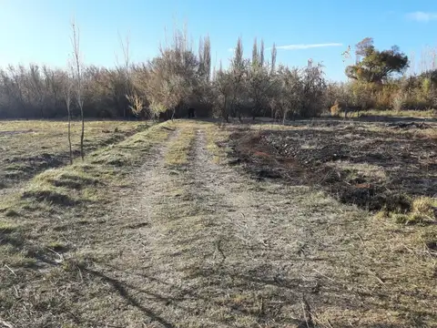 Chacra en Blanco en Venta, General Roca