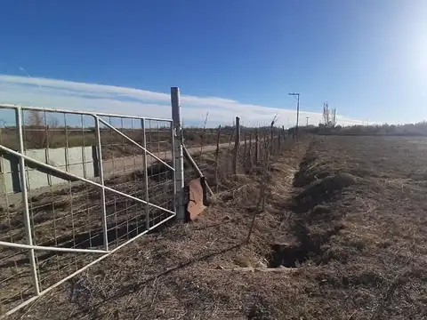 Chacra en Blanco en Venta, General Roca