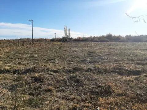 Chacra en Blanco en Venta, General Roca