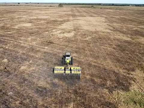 Campo 284 hec Agricola-Ganadero Sauce Corrientes