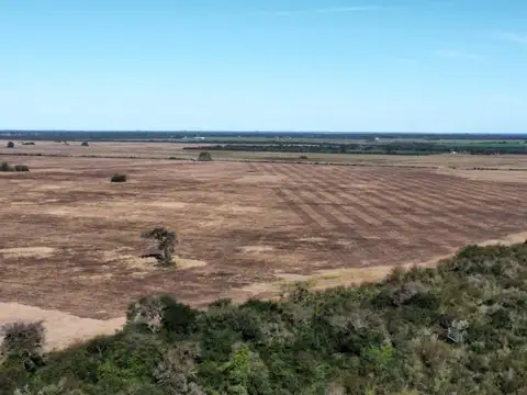 Campo en Venta Agrícola