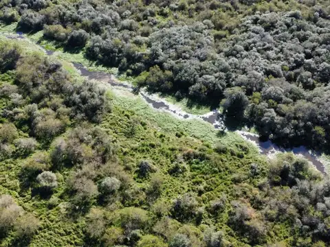 Campo en Venta de 284  ha