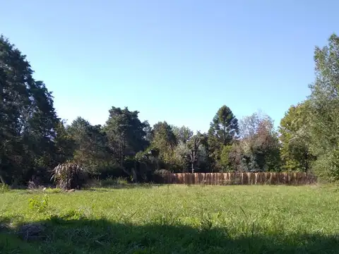LA ZAMBA Y LA CUECA