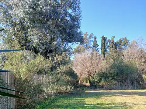 LA ZAMBA Y LA CUECA