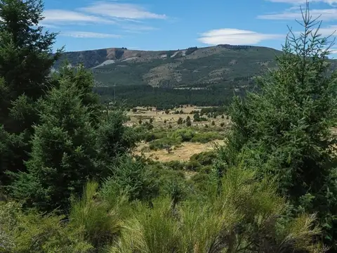 Espectacular fracción de 11Has a 20 minutos de Bariloche. Ideal para desarrollo!